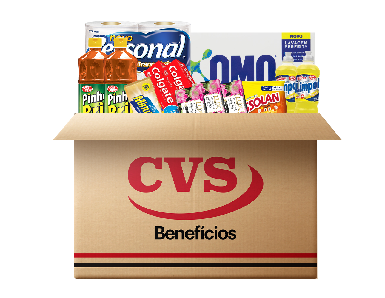 Kit limpeza Plus